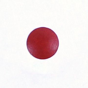 錠剤