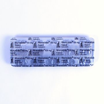 シート裏面