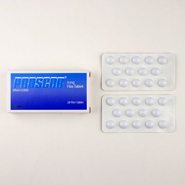 箱とシート