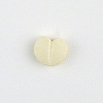 錠剤
