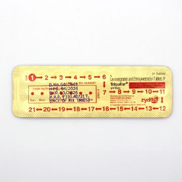 シート裏面