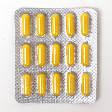 シート正面