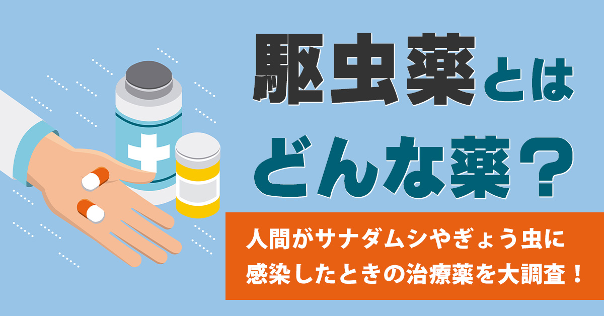 駆虫薬とはどんな薬？人間がサナダムシやぎょう虫に感染したときの治療薬を大調査！