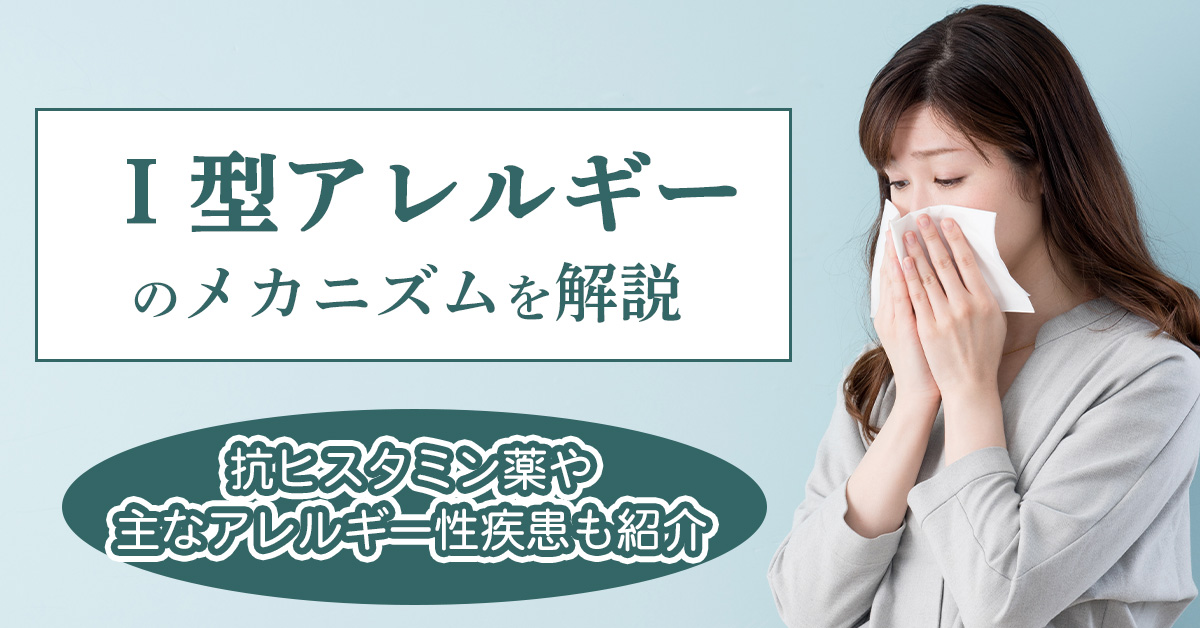 Ⅰ型アレルギーのメカニズムを解説｜抗ヒスタミン薬や主なアレルギー性疾患も紹介
