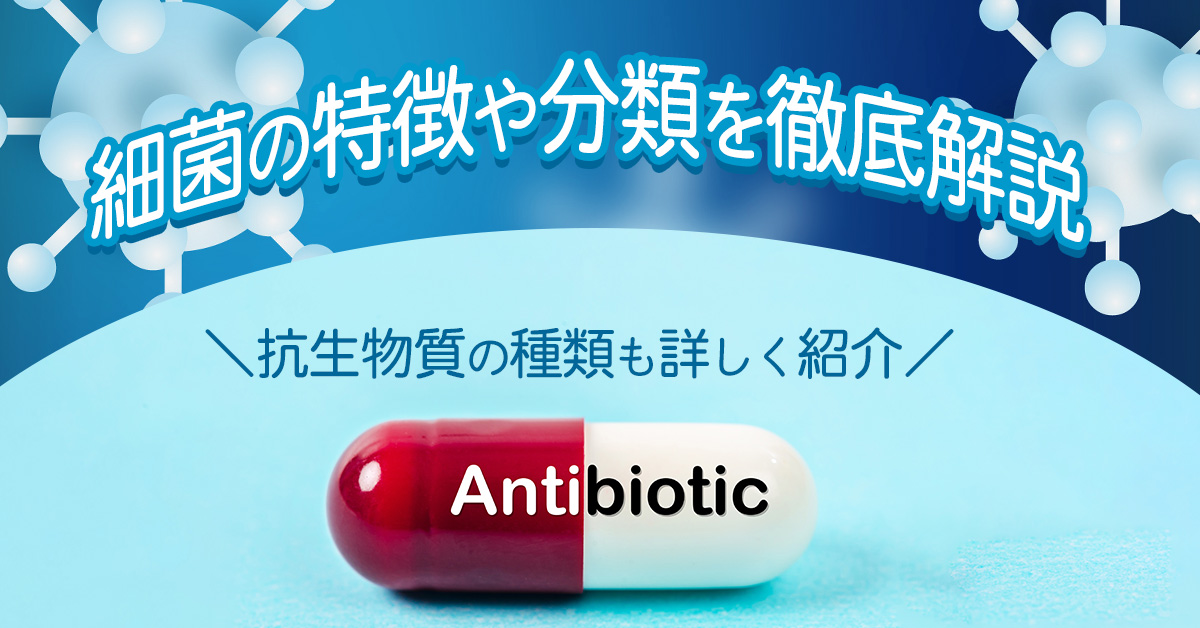 細菌の特徴や分類を徹底解説｜抗生物質の種類も詳しく紹介