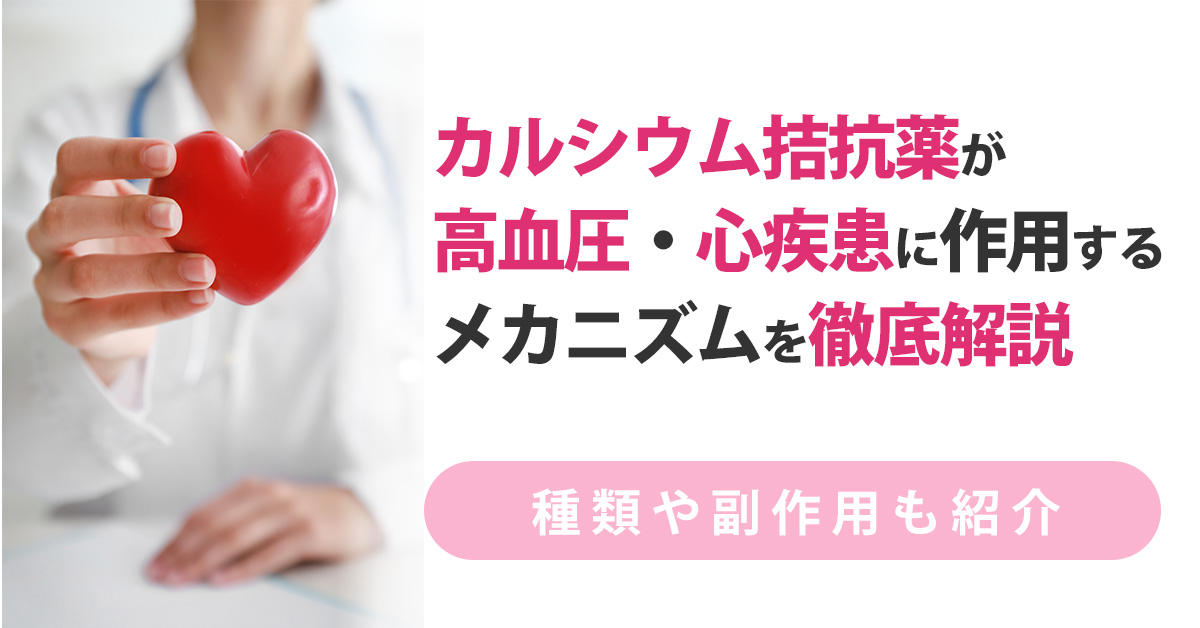 カルシウム拮抗薬が高血圧・心疾患に作用するメカニズムを徹底解説｜種類や副作用も紹介