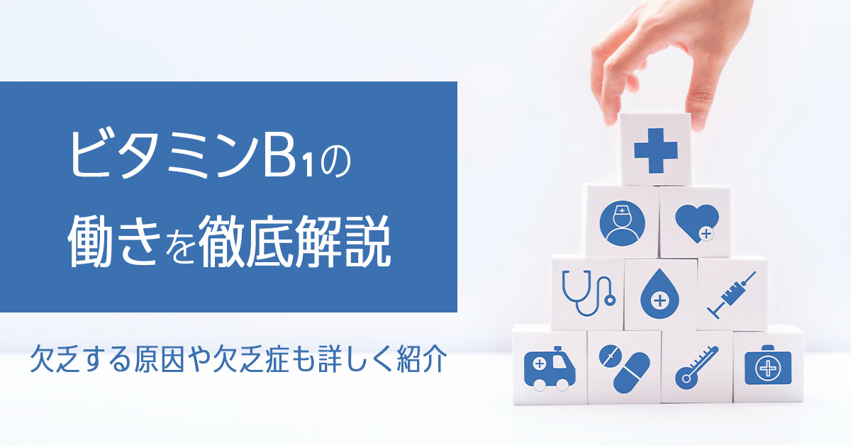 ビタミンB1の働きを徹底解説｜欠乏する原因や欠乏症も詳しく紹介