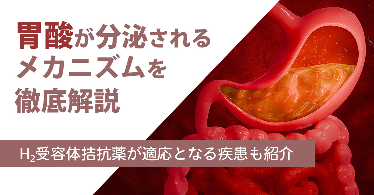 胃酸が分泌されるメカニズムを徹底解説｜H2受容体拮抗薬が適応となる疾患も紹介
