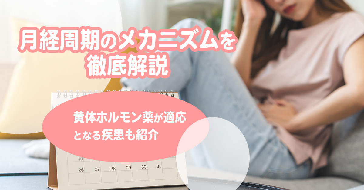 月経周期のメカニズムを徹底解説｜黄体ホルモン薬が適応となる疾患も紹介