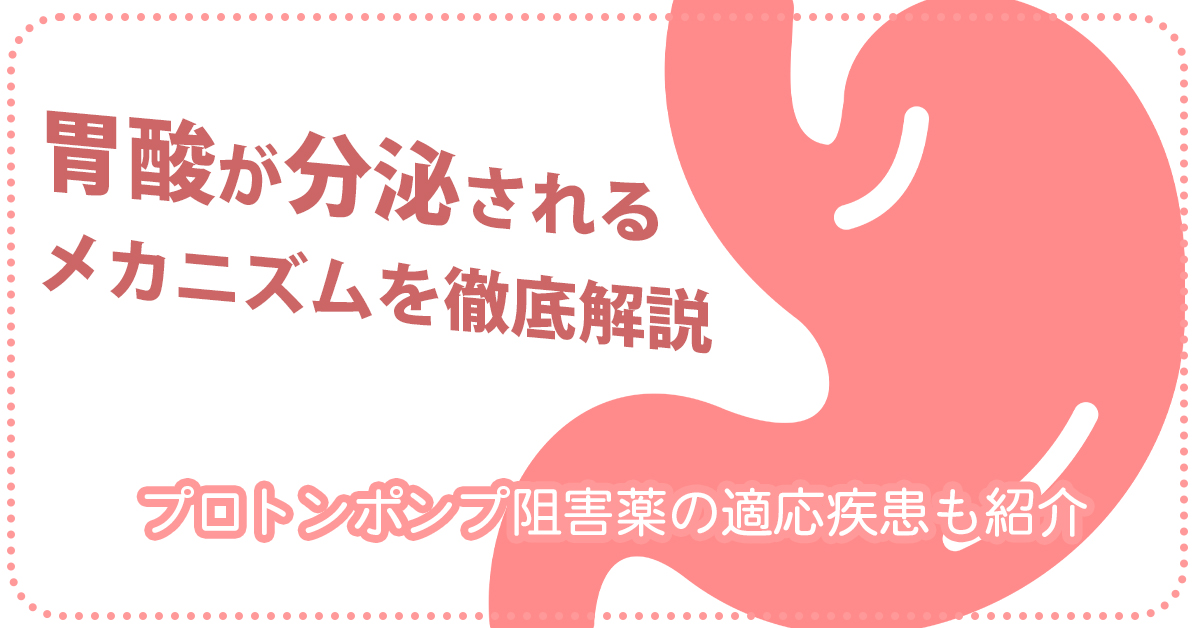 胃酸が分泌されるメカニズムを徹底解説｜プロトンポンプ阻害薬の適応疾患も紹介