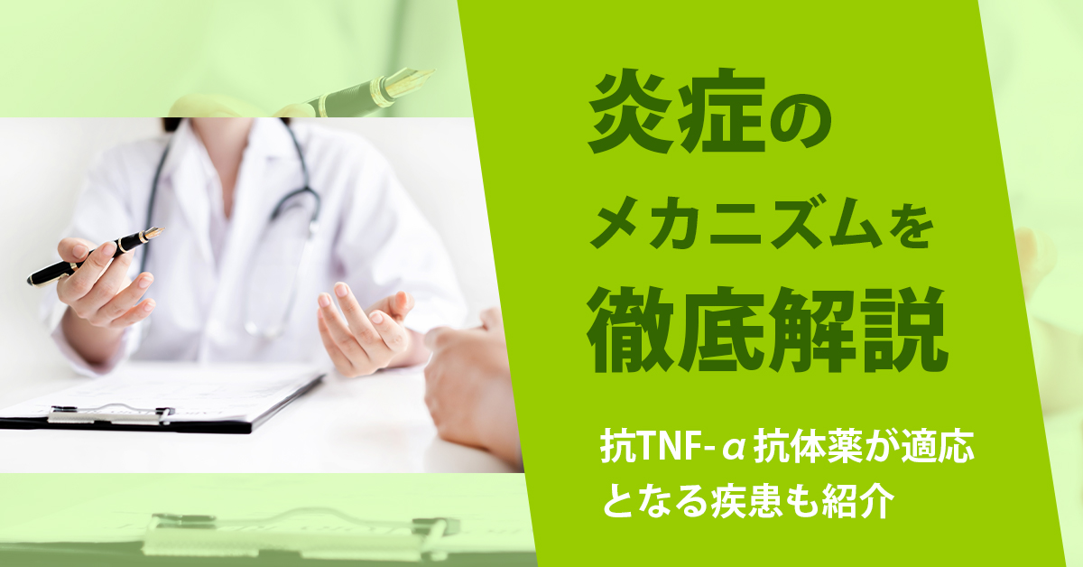 炎症のメカニズムを徹底解説｜抗TNF-α抗体薬が適応となる疾患も紹介