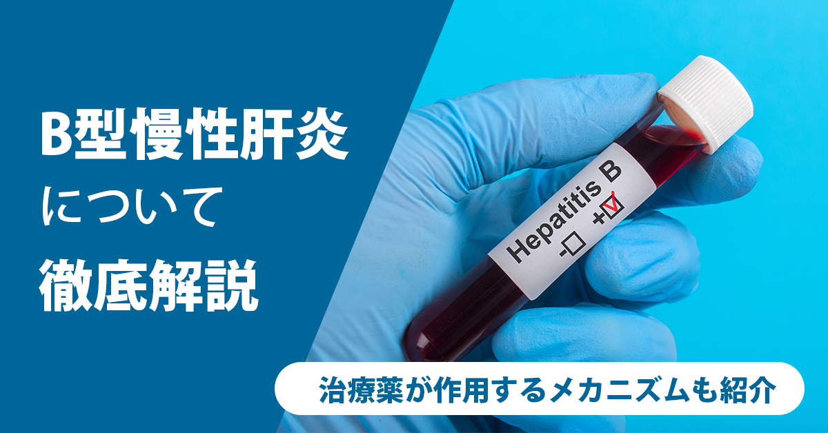 B型慢性肝炎について徹底解説｜治療薬が作用するメカニズムも紹介
