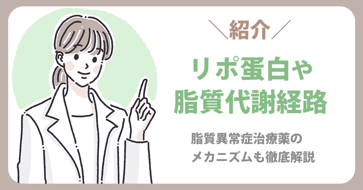 リポ蛋白や脂質代謝経路を紹介｜脂質異常症治療薬のメカニズムも徹底解説