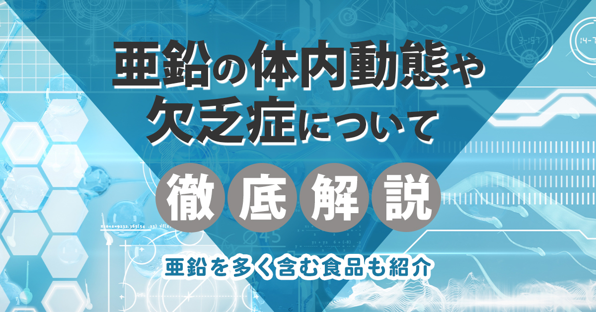 亜鉛の体内動態や欠乏症について徹底解説｜亜鉛を多く含む食品も紹介