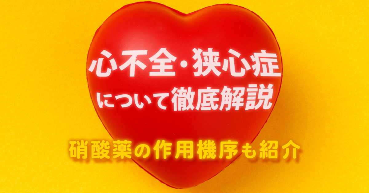 心不全・狭心症について徹底解説｜硝酸薬の作用機序も紹介