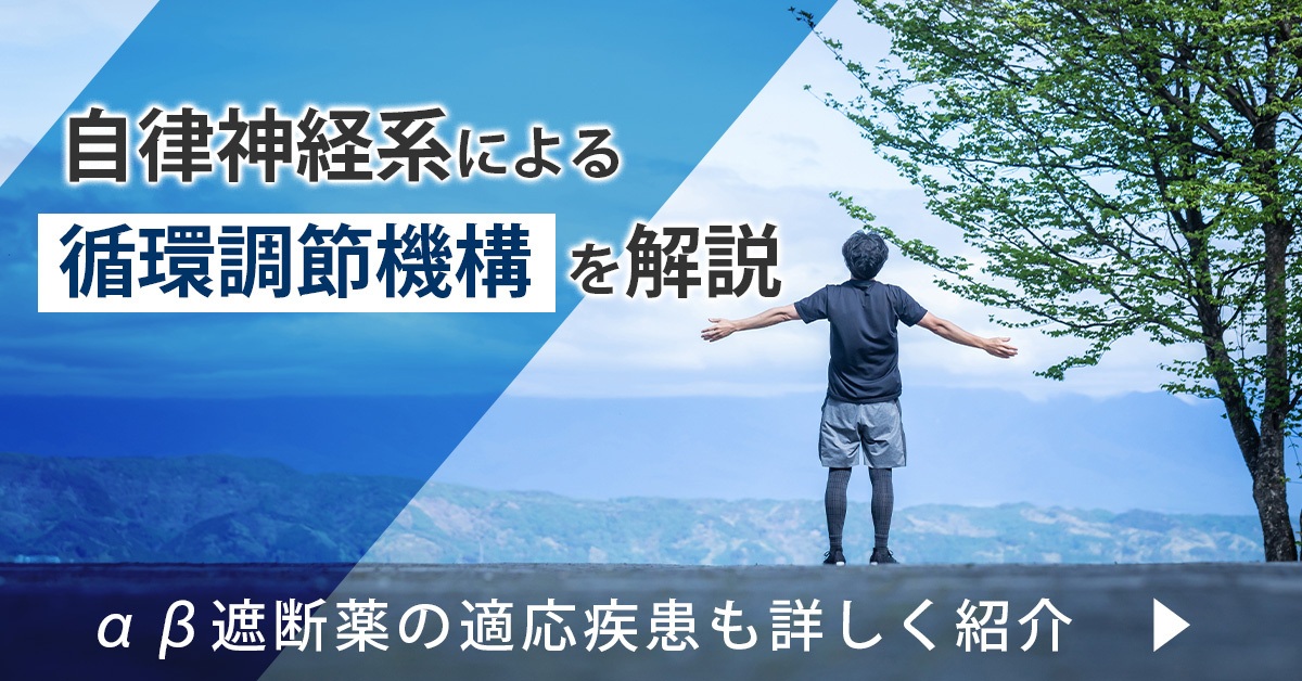 自律神経系による循環調節機構を解説｜αβ遮断薬の適応疾患も詳しく紹介