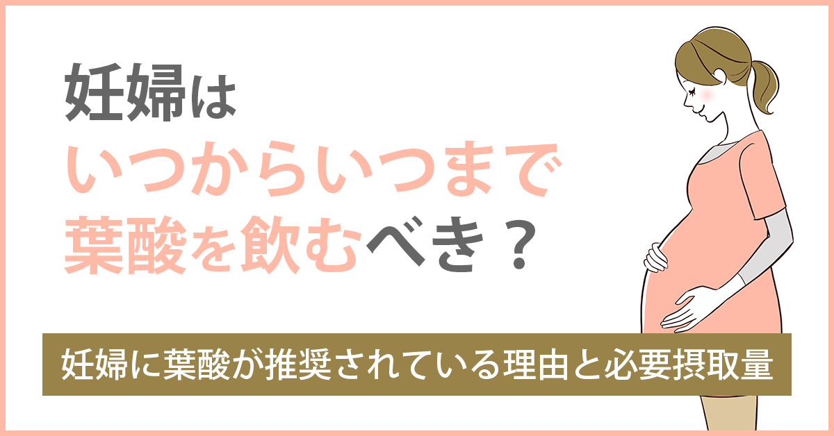 妊婦はいつからいつまで葉酸を飲むべき？妊婦に葉酸が推奨されている理由と必要摂取量