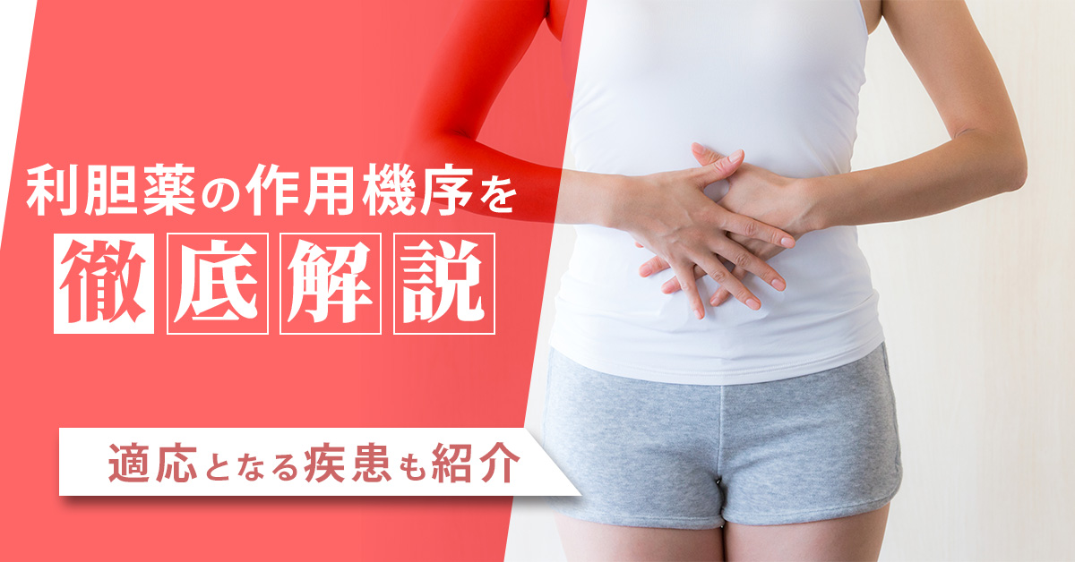 利胆薬の作用機序を徹底解説｜適応となる疾患も紹介