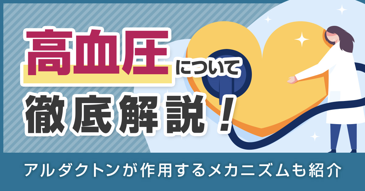 高血圧について徹底解説｜アルダクトンが作用するメカニズムも紹介