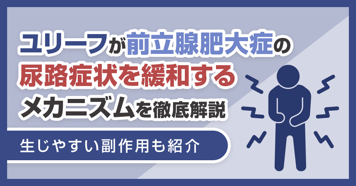 ユリーフが前立腺肥大症の尿路症状を緩和するメカニズムを徹底解説｜生じやすい副作用も紹介